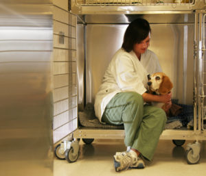 dog and technician in kennel