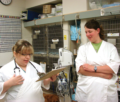 Kim Foster in the ICU at WCVM Veterinary Medical Centre