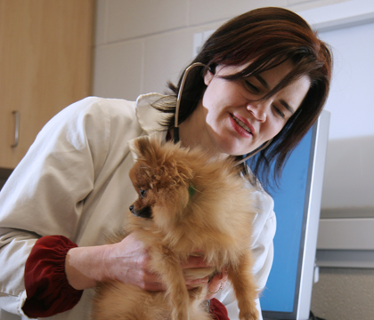 Dr. Belle Nibblett and canine patient
