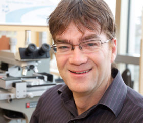 Troy Harkness, professor in the Department of Anatomy and Cell Biology.