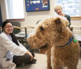 Joey visits with Dr. Vivian Fan (left) and his owner Linda Jensen. Photo: Christina Weese.